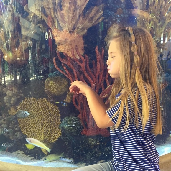 Meet your Posher, Steffani - Picture 1 of 1